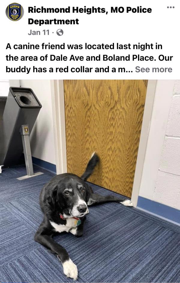 /Images/uploads/Mid County Chamber of Commerce/pet-mayor-2022/entries/24713thumb.jpg